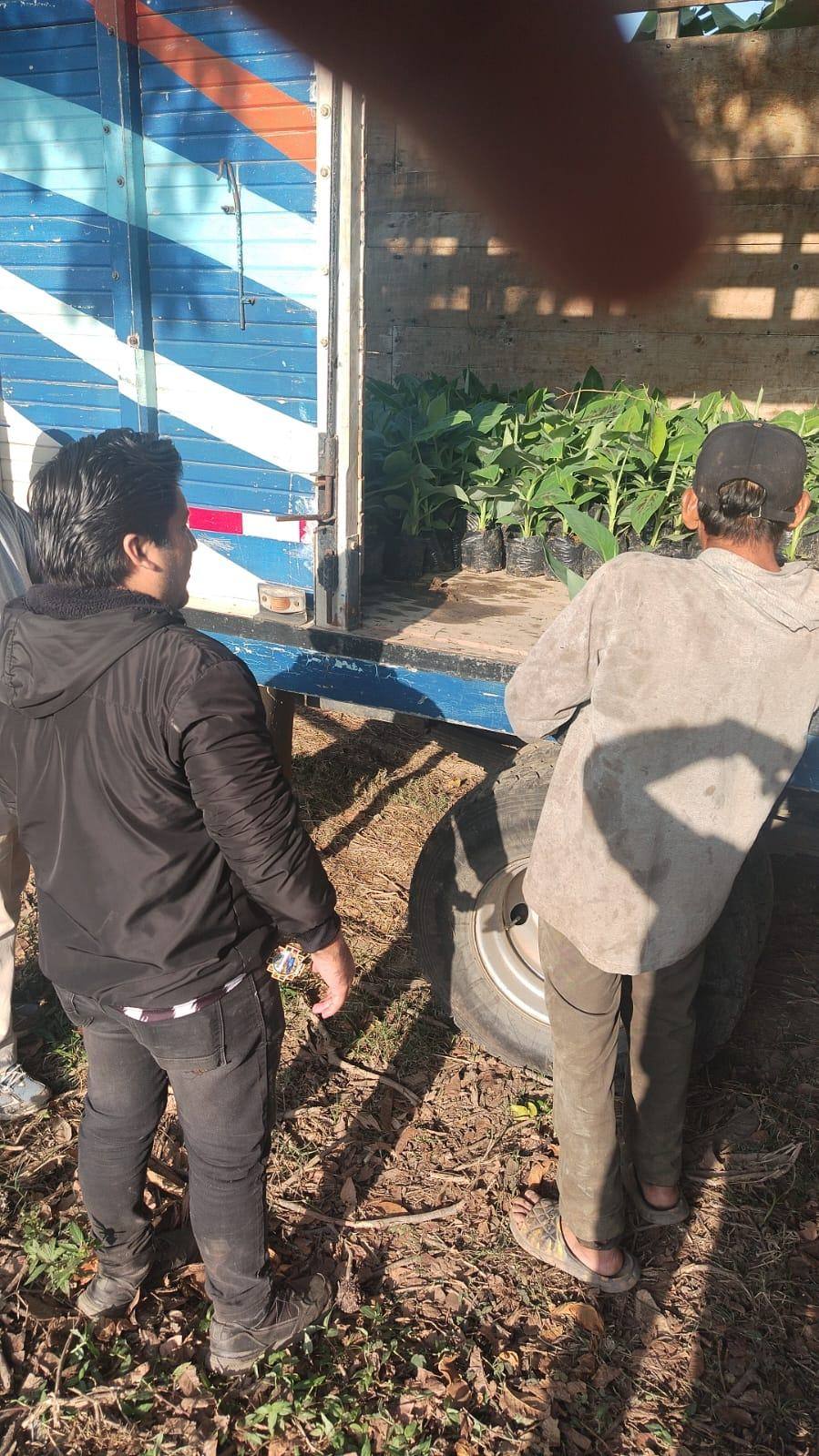 Entrega de plantones a productores