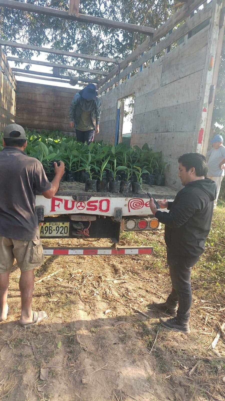 Productor con los plantones recibidos