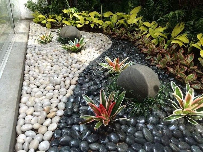 Bromelias y plantas ornamentales sobre piedra decorativa