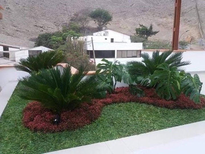 Área de grass con borde decorativo