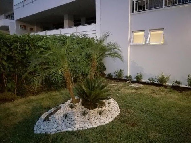 Isla ajardinada con palmera y piedra