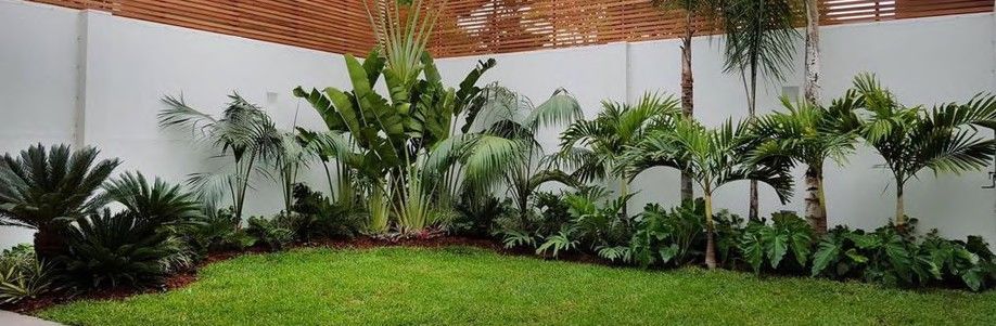 Jardín tropical con palmeras y grass