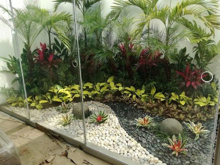 Jardín interior visto tras un cristal