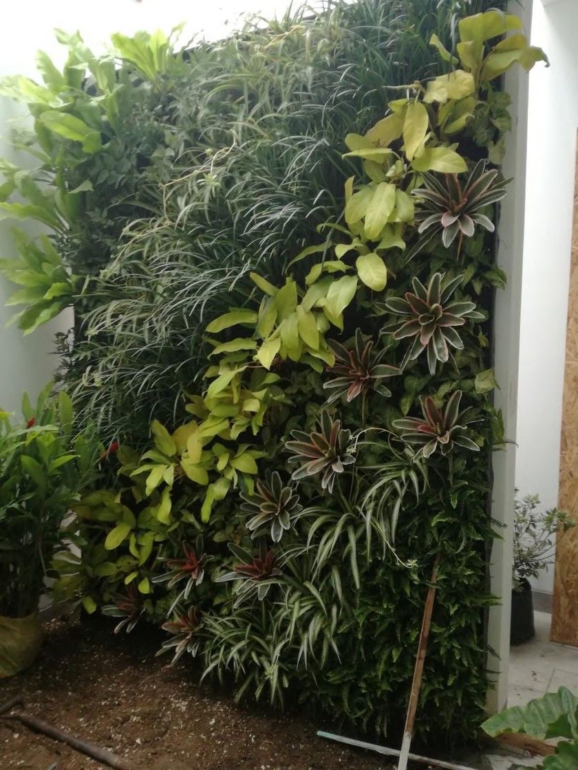 Muro verde instalado en exterior