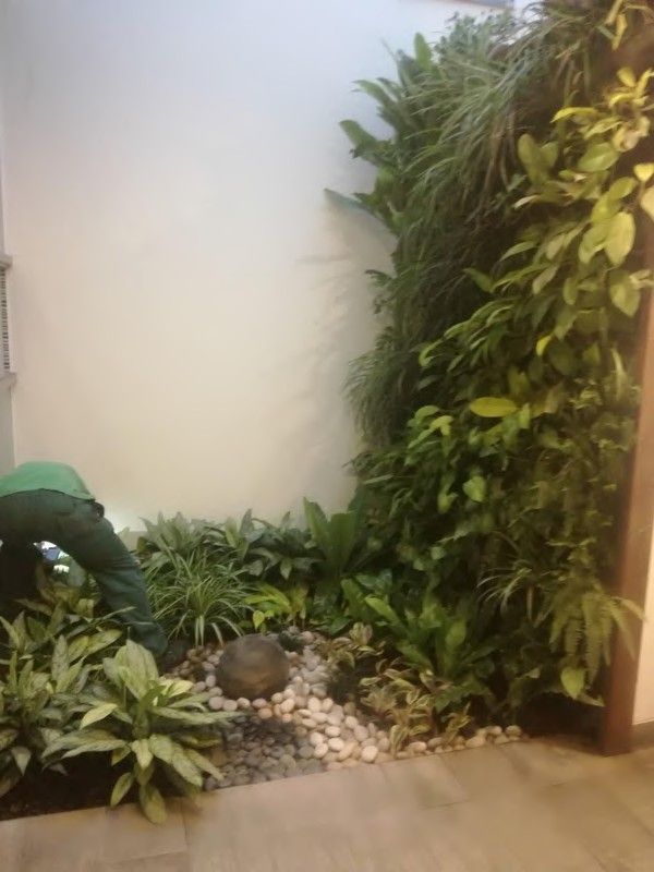 Detalle del follaje de un muro verde