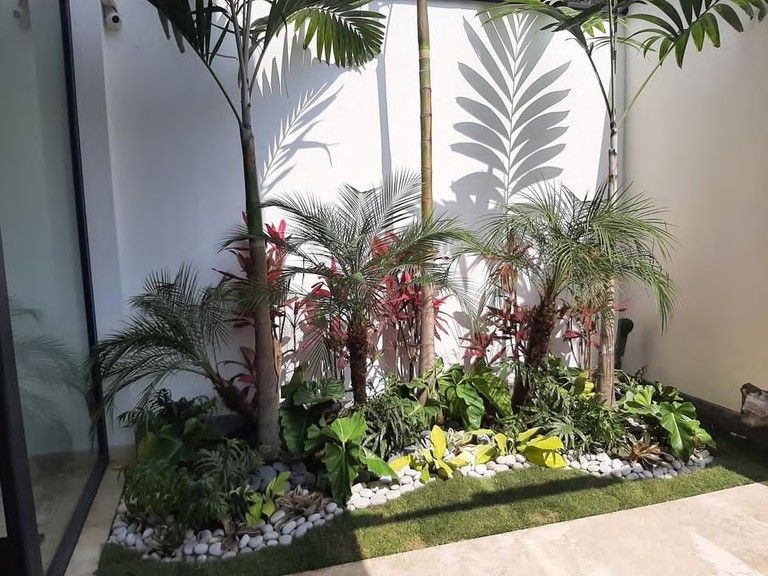 Patio interior con palmeras y grass